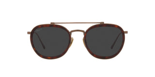 
  
    Brown|Polar Black + Ar - Polarized
  
