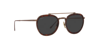 
  
    Brown|Polar Black + Ar - Polarized
  
