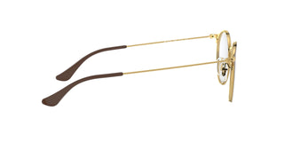 
  
    Brown On Arista | Demo Lens
  
