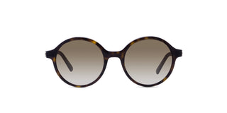 
  
    Dark Havana | Gradient Brown
  
