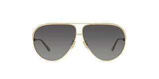 
  
    Shiny Gold Dh | Smoke Polarized
  
