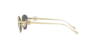 
  
    SHINY ENDURA GOLD | SMOKE
  
