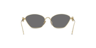 
  
    SHINY ENDURA GOLD | SMOKE
  
