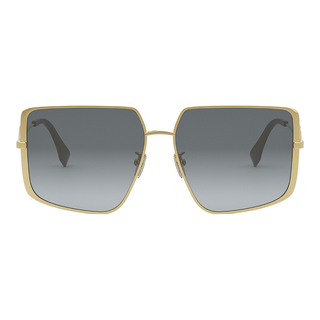 
  
    SHINY ENDURA GOLD | GRADIENT SMOKE
  
