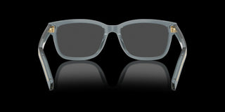 
  
    TRANSLUCENT OCEAN | TRANSLUCENT
  
