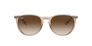 
  
    TRANSLUCENT LIGHT BRONZE | BRONZE GRADIENT DARK
  
