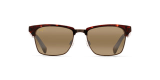
  
    Tortoise With Antique Gold|Hcl Bronze - Polarized
  
