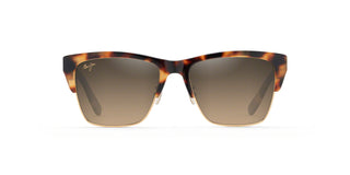 
  
    Tortoise With Gold|Hcl Bronze - Polarized
  
