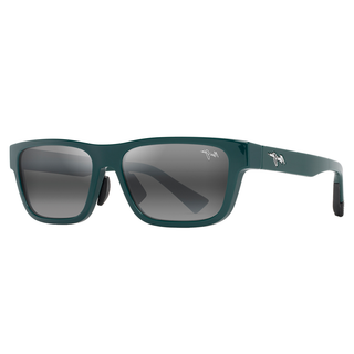 
  
    SHINY DARK GREEN
  
