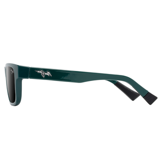 
  
    SHINY DARK GREEN
  
