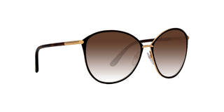 
  
    Shiny Rose Gold | Gradient Brown
  
