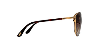 
  
    Shiny Rose Gold | Gradient Brown
  
