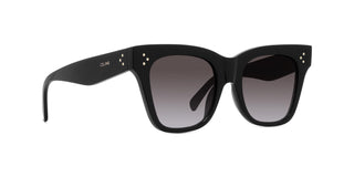 
  
    SHINY BLACK | GRADIENT ROVIEX
  
