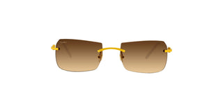 
  
    SIGNATURE C CT0006RS CARTIER SUNGLASSES
  
