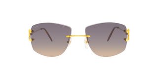 
  
    SIGNATURE C CT0008RS CARTIER SUNGLASSES
  
