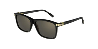 
  
    CT0160S CARTIER SUNGLASSES
  
