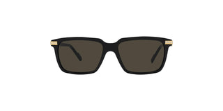 
  
    CT0220S CARTIER SUNGLASSES
  
