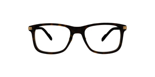 
  
    CT0313O CARTIER EYEGLASSES
  
