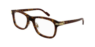 
  
    HAVANA | TRANSLUCENT
  
