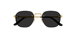 
  
    CT0459S CARTIER SUNGLASSES
  
