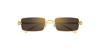 
  
    CT0473S CARTIER SUNGLASSES
  
