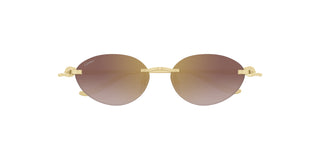 
  
    CT0504S CARTIER SUNGLASSES
  
