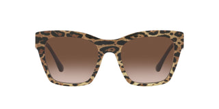 
  
    DG4384 DOLCE & GABBANA SUNGLASSES
  
