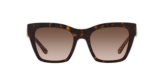 
  
    HAVANA WHITE BRONZE | BRONZE GRADIENT
  
