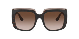 
  
    HAVANA TRANSLUCENT BRONZE | GRADIENT BRONZE
  
