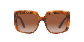
  
    DG4414 DOLCE & GABBANA SUNGLASSES
  
