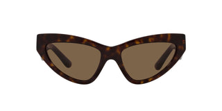 
  
    DG4439 DOLCE & GABBANA SUNGLASSES
  
