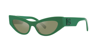 
  
    GREEN | GREEN MIRROR SILVER
  
