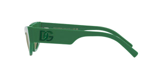 
  
    GREEN | GREEN MIRROR SILVER
  
