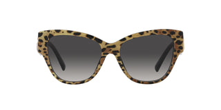 
  
    DG4449 DOLCE & GABBANA SUNGLASSES
  
