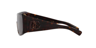 
  
    HAVANA | DARK BRONZE
  
