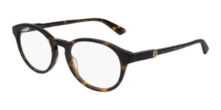 
  
    HAVANA | TRANSLUCENT
  
