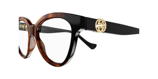 
  
    HAVANA | TRANSLUCENT
  
