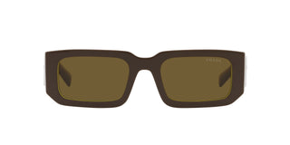 
  
    LODEN CEDAR | DARK BRONZE
  
