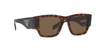 
  
    TORTOISE | DARK BRONZE
  
