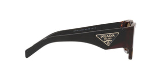 
  
    TORTOISE | DARK BRONZE
  
