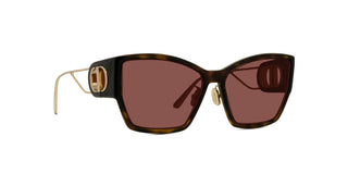 
  
    DARK HAVANA | BORDEAUX
  
