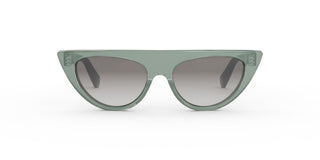 
  
    SHINY LIGHT GREEN | GRADIENT SMOKE
  
