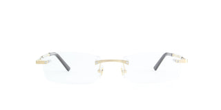 
  
    SANTOS D CARTIER CT0087O EYEGLASSES
  
