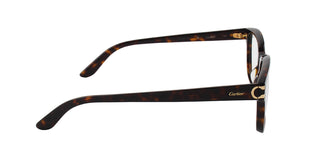 
  
    HAVANA | TRANSLUCENT
  
