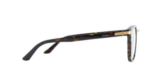 
  
    HAVANA | TRANSLUCENT
  
