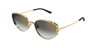 
  
    GOLD | GRADIENT GREYWITH GOLD FLASH
  
