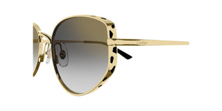 
  
    GOLD | GRADIENT GREYWITH GOLD FLASH
  
