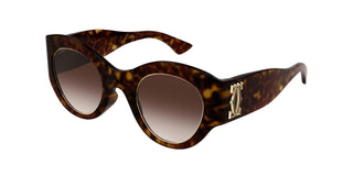 
  
    HAVANA | GRADIENT BRONZE
  
