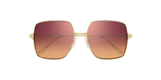
  
    GOLD | BORDEAUX APRICOTWITH PINK FLASH
  
