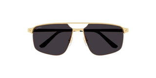 
  
    CT0385S CARTIER SUNGLASSES
  
